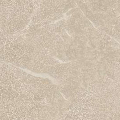 Reggia Ivory