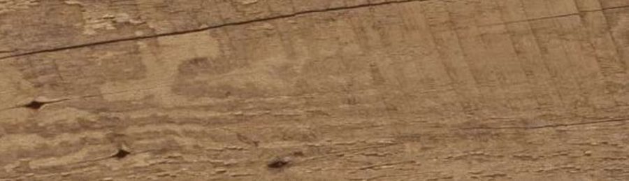 Rustic Oak